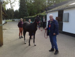 Diamant M en Sjiep